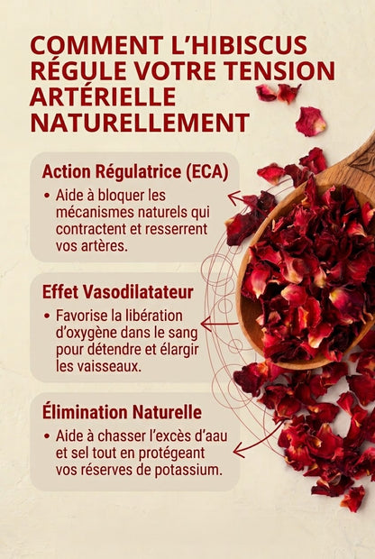 Hibéa Floral™ | Aidez votre tension à retrouver son équilibre naturellement