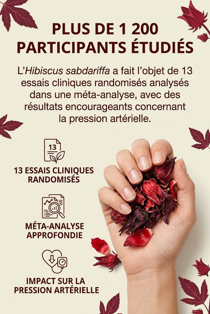 Hibéa Floral™ | Aidez votre tension à retrouver son équilibre naturellement